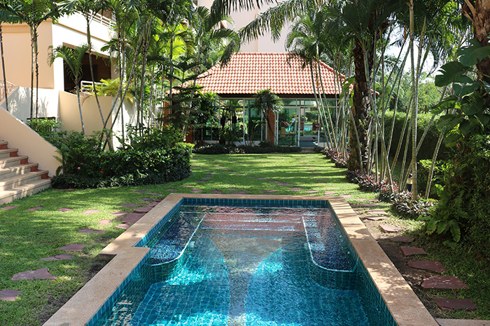 Tropical Garden Around The Pool