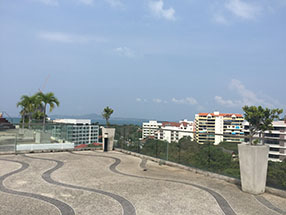 View from Roof Top