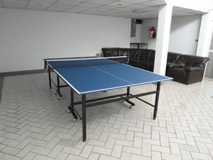 Paradise Table de Ping Pong