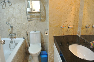 Condominium Bathroom 1