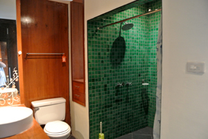Bathroom with Walk-in Shower